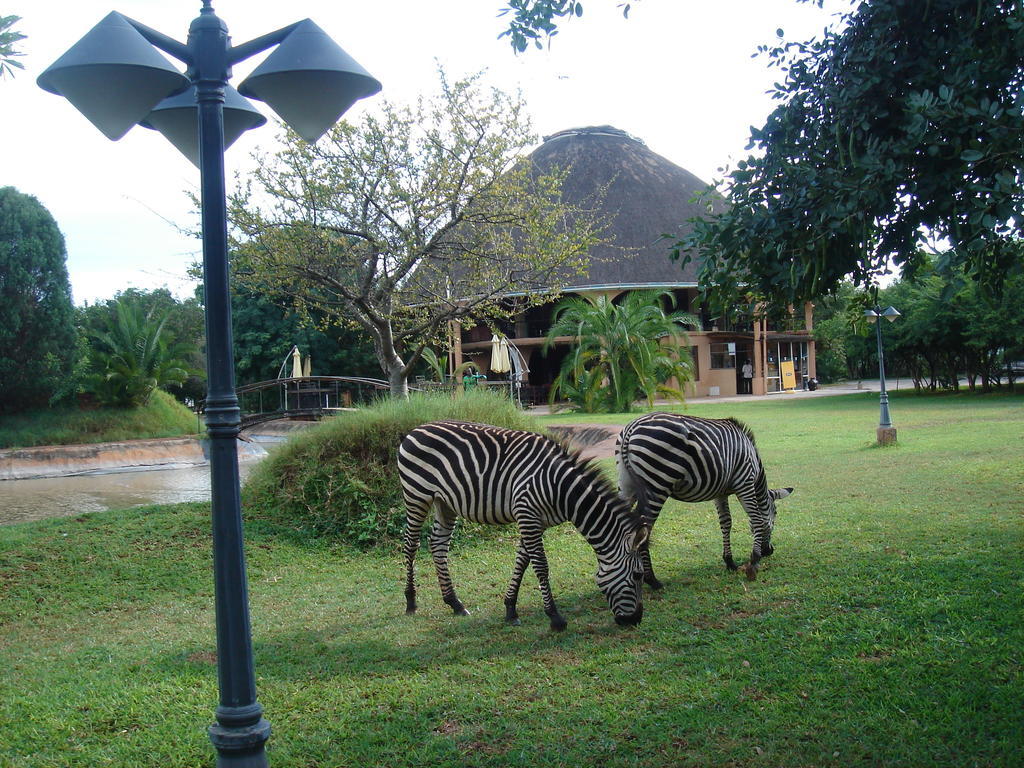 Kaazmein Lodge Livingstone Dış mekan fotoğraf